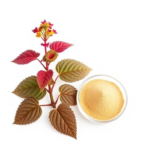 Forskolin