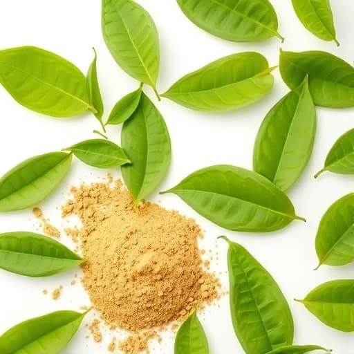 Green Tea Extract